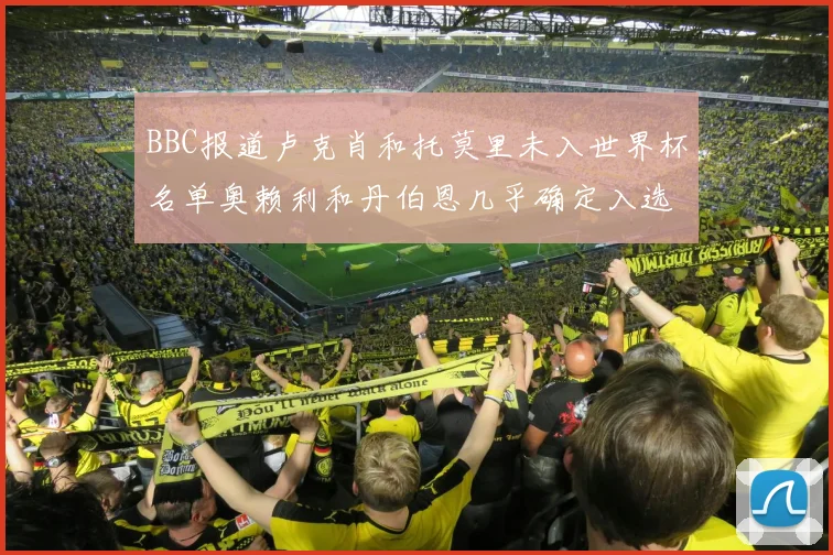 BBC报道卢克肖和托莫里未入世界杯名单奥赖利和丹伯恩几乎确定入选